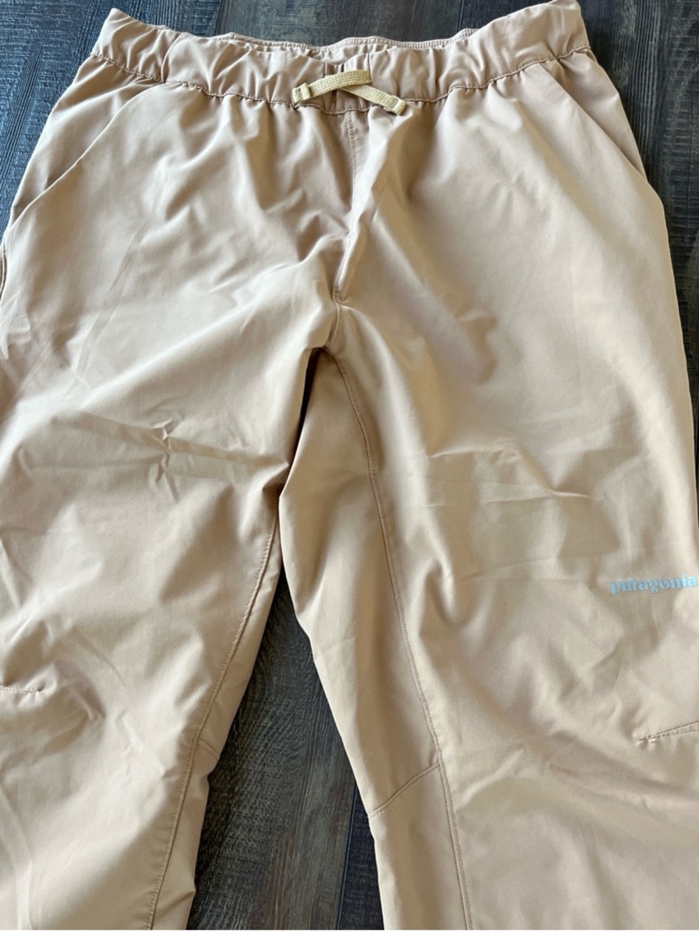 Patagonia Women's Tan Jogger Pants